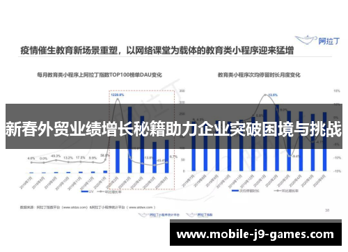 新春外贸业绩增长秘籍助力企业突破困境与挑战
