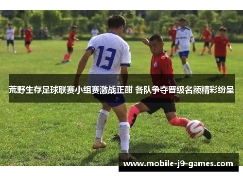 荒野生存足球联赛小组赛激战正酣 各队争夺晋级名额精彩纷呈 荒野生存足球联赛小组赛激战正酣 各队争夺晋级名额精彩纷呈