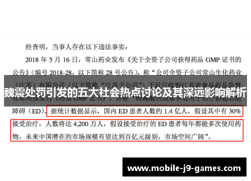 魏震处罚引发的五大社会热点讨论及其深远影响解析