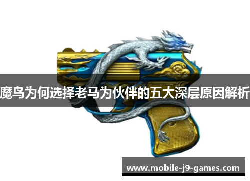 魔鸟为何选择老马为伙伴的五大深层原因解析